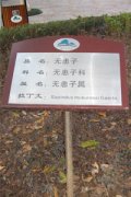 cM鿴ྫʰ