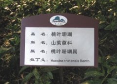 cM鿴ྫʰ