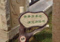 cM鿴ྫʰ