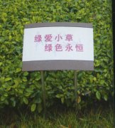 cM鿴ྫʰ